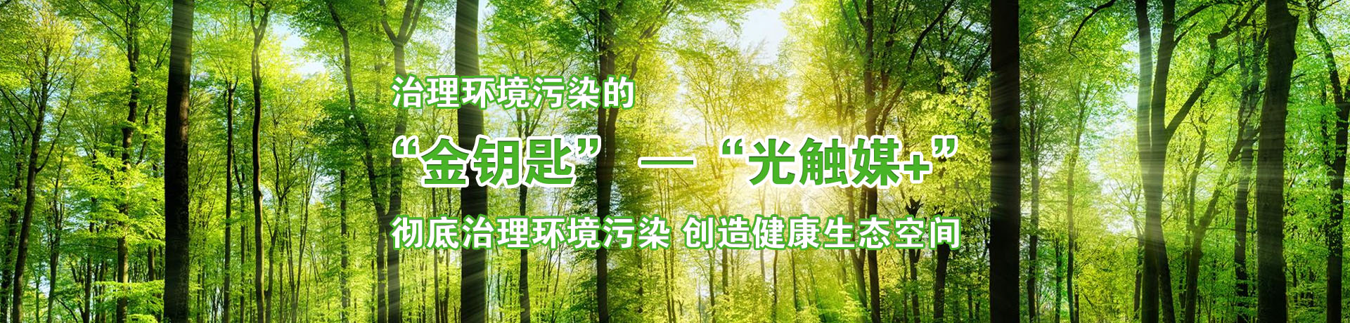 “光觸媒”革命性創新環保產物—鞍山市奇典公司--中國焦點